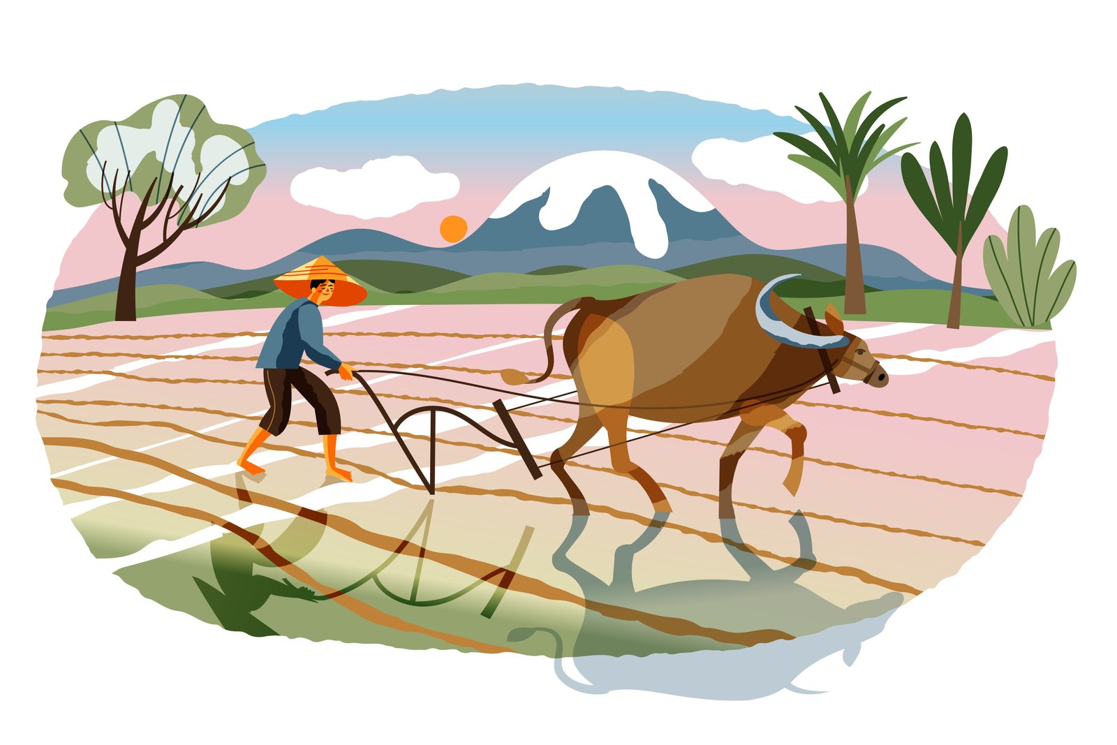 A Study on Water Conservation and Irrigation Facilities in India